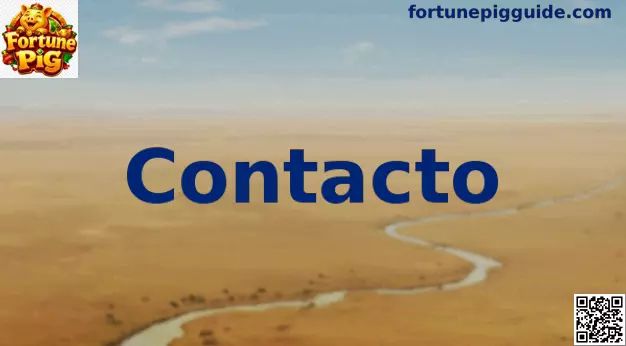 Contacto Fortune Pig México, guía responsable y soporte informativo en línea