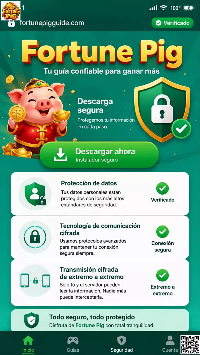 Capas de Seguridad en la App de Fortune Pig