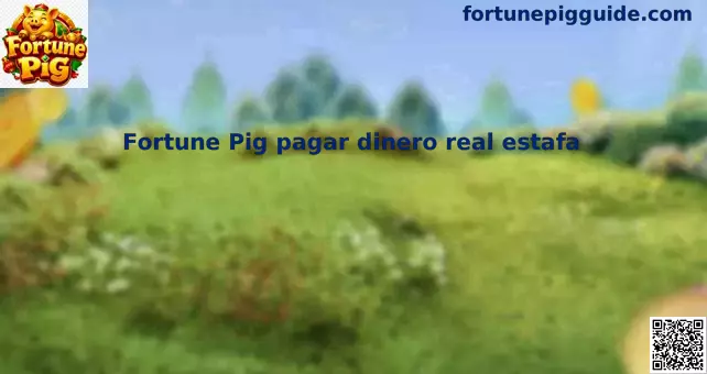 Seguridad en Fortune Pig