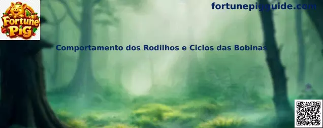 Comportamiento de rodillos y ciclos de bobinas